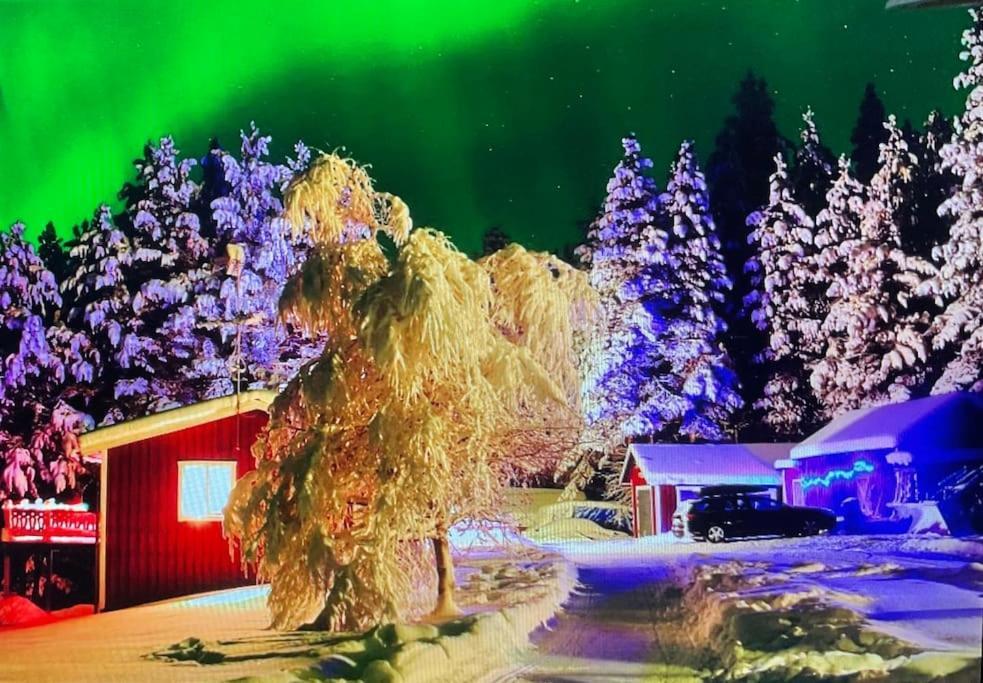 Lakeside Wilderness Cabin Jokkmokk Exterior foto