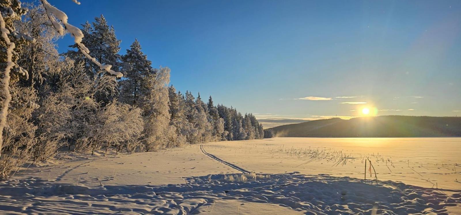 Lakeside Wilderness Cabin Jokkmokk Exterior foto