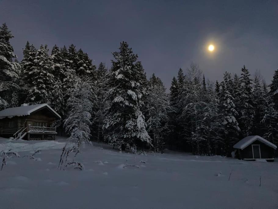 Lakeside Wilderness Cabin Jokkmokk Exterior foto