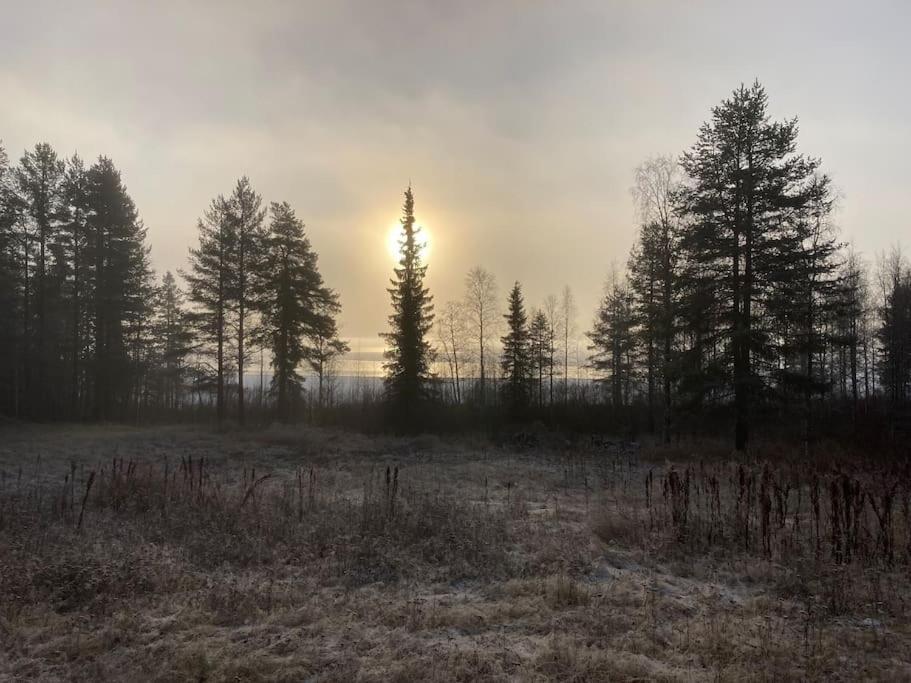 Lakeside Wilderness Cabin Jokkmokk Exterior foto
